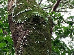 IMG-20190316-WA0003