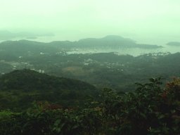 Spring Hiking / Sea Cruise