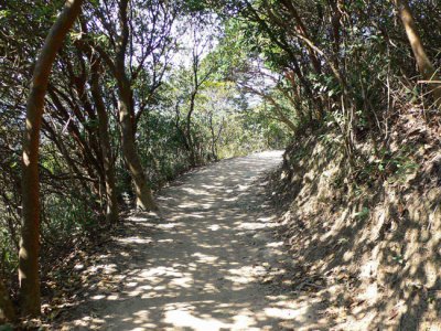 Hong Kong Trail at Dragon Back.jpg