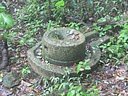 Spring Hiking 1007.jpg