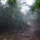 Spring Hiking 1010