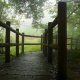 Spring Hiking 1012